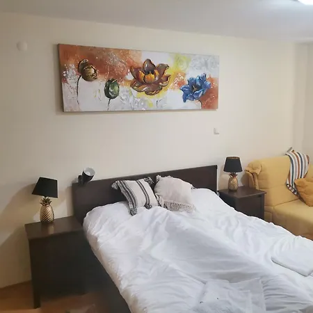 Apartment Ana/ ана Pamporovo